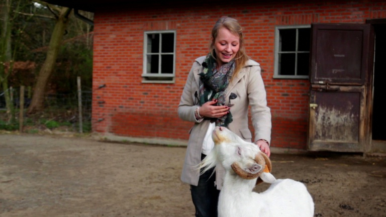 Spelling - verkleinwoorden, meervouden  -  1ste graad A - Nederlands